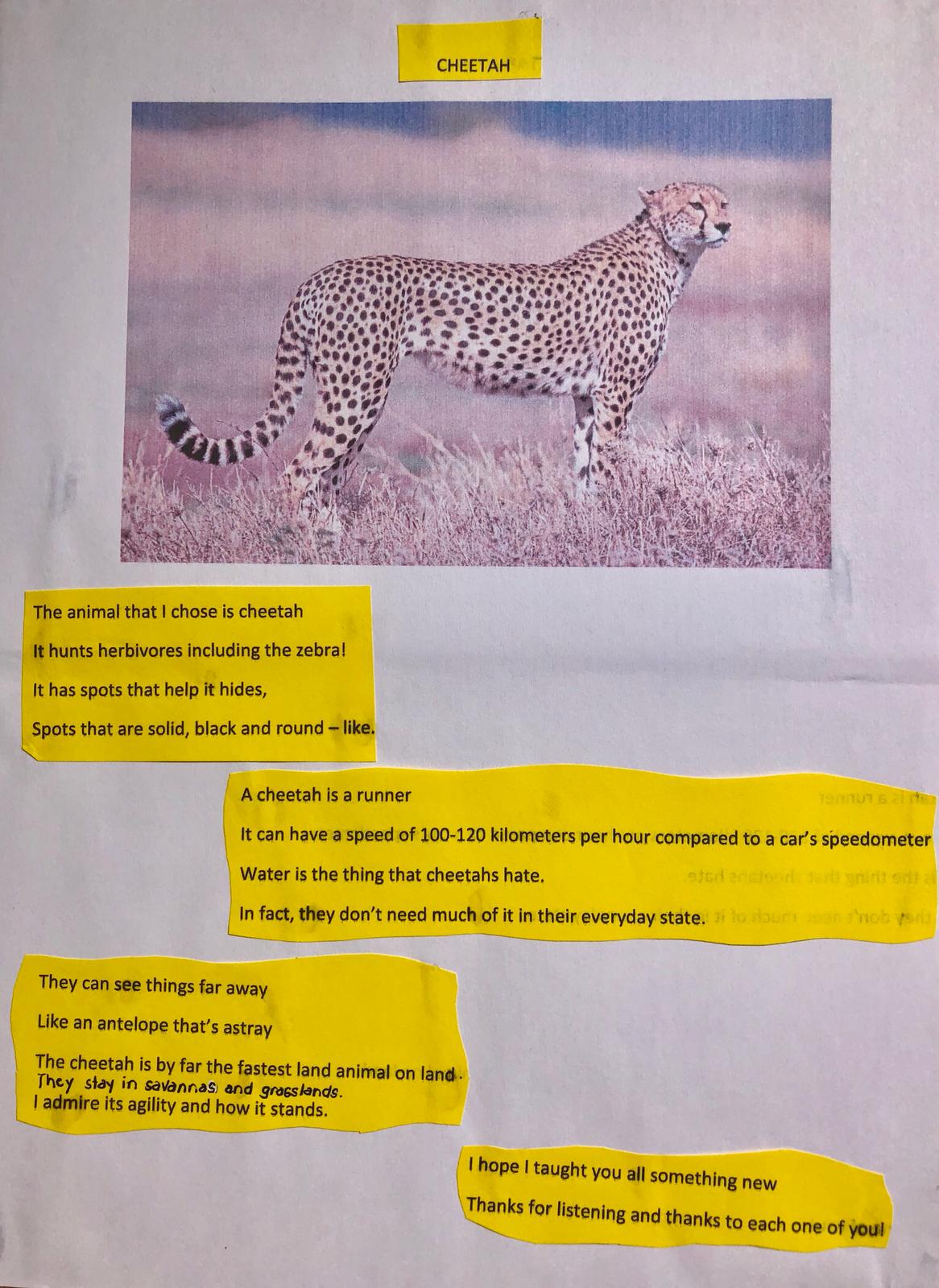 i-am-a-young-scientist-featured-project-my-poem-about-cheetah